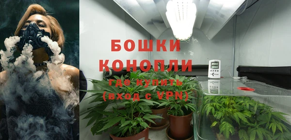 бошки Алзамай