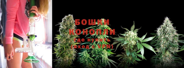бошки Алзамай
